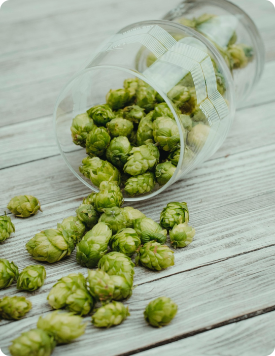 green-malt